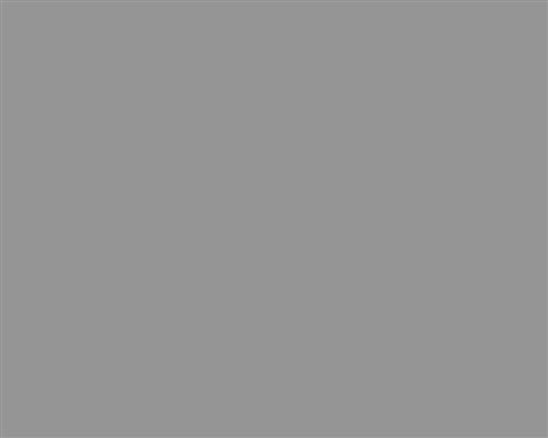 On Point 2253 Smoke Polycarbonate Spray Paint 150mL