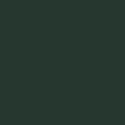 Rapido Proto-Paint 330072 NYC Pacemaker Green Acrylic Airbrush Ready Paint 1oz (29.5mL) NIB
